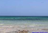 Gewerbe kaufen Kinondo Sacred Forest/ Galu Beach klein 7hqasuizy6we