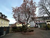 Haus kaufen Bad Sobernheim klein k4gou3rih6v9