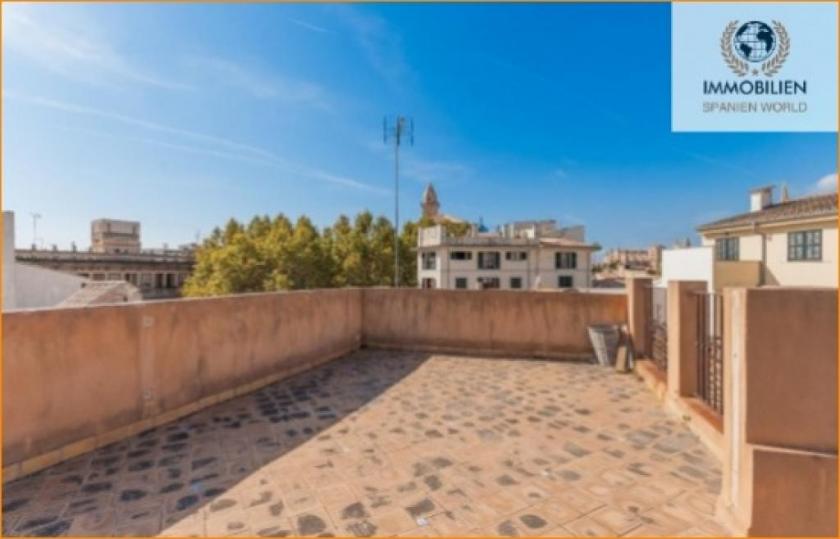 Wohnung kaufen Palma de Mallorca max 41nv79x9lgsz