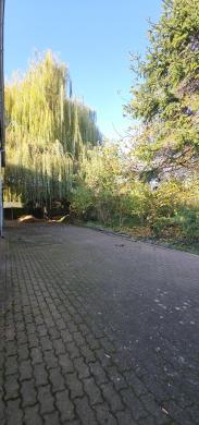 Gewerbe kaufen Aken (Elbe) gross z1yu1a6p5ovz