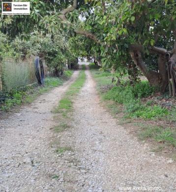 Gewerbe kaufen Armeni gross 79or8zyk6m6n