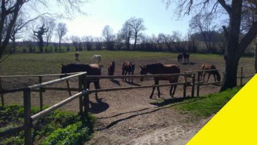 Gewerbe kaufen Bad Waldsee gross 135nruh1d276