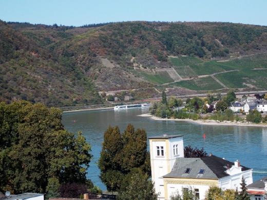 Gewerbe kaufen Boppard gross isguifb2vn3b