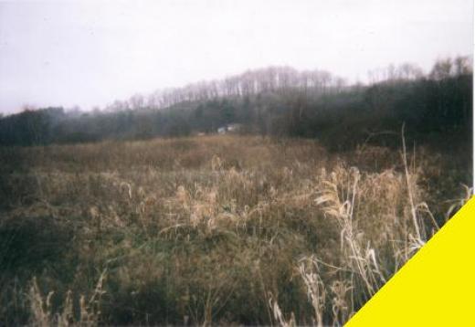 Gewerbe kaufen Danzig gross ast0x6k2qxgu