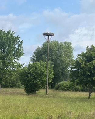 Gewerbe kaufen Finsterwalde gross fxrlx4mqvcaq