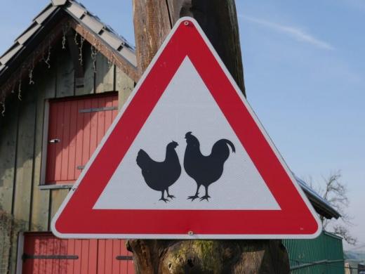 Gewerbe kaufen Fischbach bei Dahn gross uyoqmw05calx