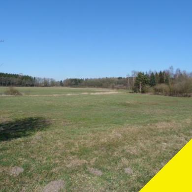 Gewerbe kaufen Oldenburg in Holstein gross r9e88p32ujg7