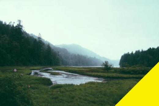 Gewerbe kaufen Villingen-Schwenningen gross rkgojitxzrej