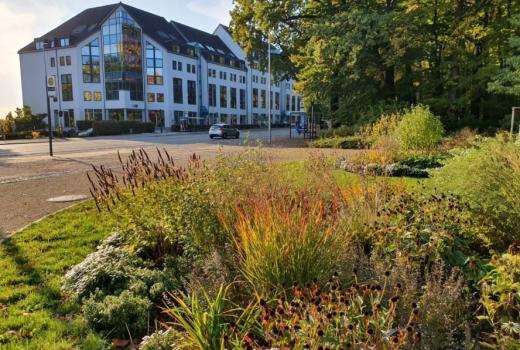 Gewerbe mieten Chemnitz gross 6wkvjdn8b2bi