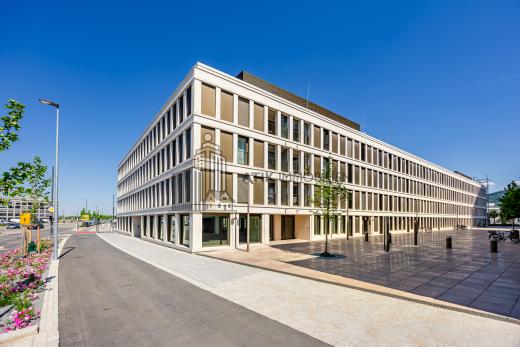 Gewerbe mieten Heidelberg gross 26qo5u0cpkug