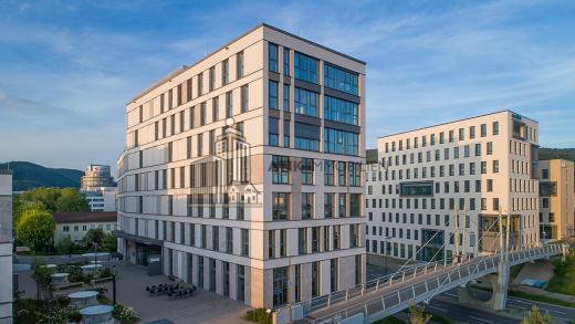 Gewerbe mieten Heidelberg gross vcsgdxro9o30