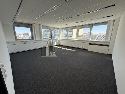 Gewerbe mieten Ludwigshafen am Rhein gross 86xq97pe49k5