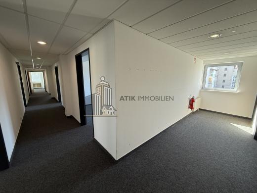 Gewerbe mieten Ludwigshafen am Rhein gross nith5rai135y