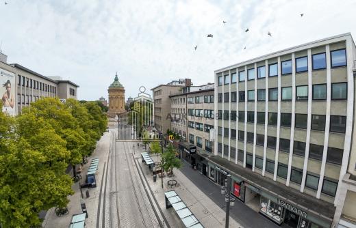 Gewerbe mieten Mannheim gross 5dngav90w5xb