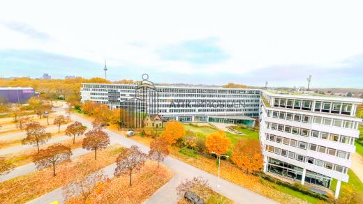 Gewerbe mieten Mannheim gross s3qnh4wcekgy