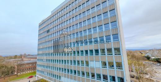 Gewerbe mieten Mannheim gross t9gec7ba20lv