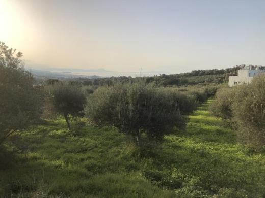 Grundstück kaufen Adelebsen gross bxu8j0u9hm2i