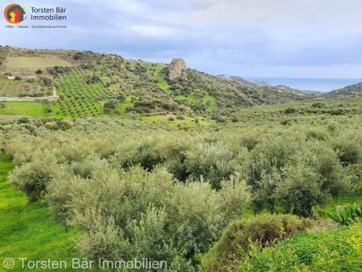 Grundstück kaufen Agia Galini gross 96m4va6p8ncj