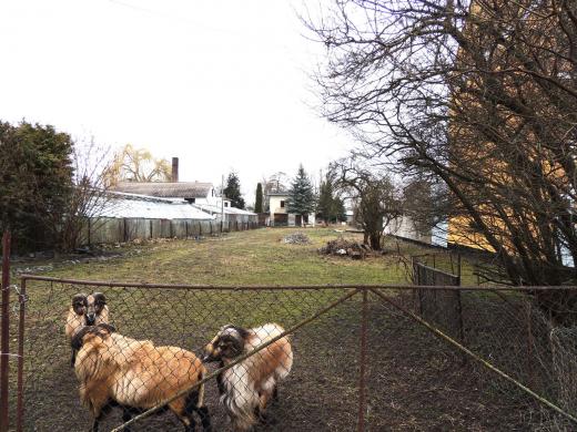 Grundstück kaufen Aken (Elbe) gross wjxa1rj5ky3i