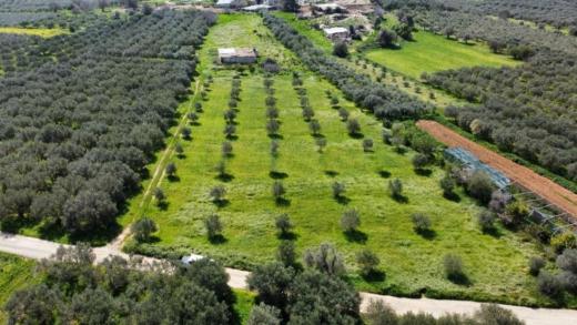 Grundstück kaufen Bad Krozingen gross sqru3mutc6yq