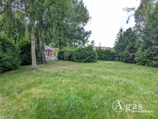 Grundstück kaufen Bergfelde gross lxiejwbbpzr1