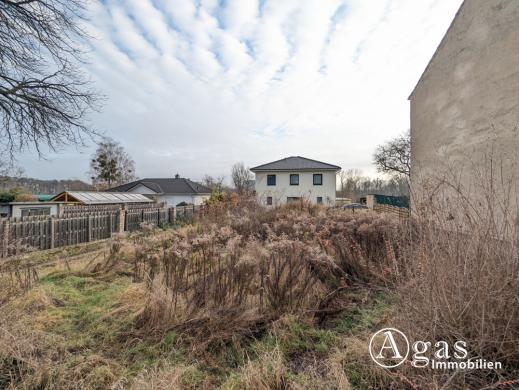 Grundstück kaufen Birkenhain gross tsj43kpxqvpe