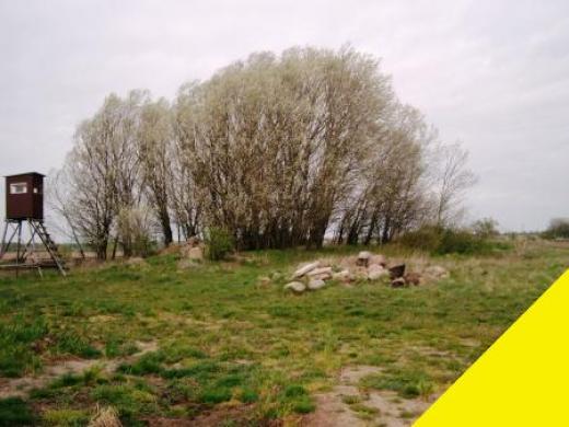 Grundstück kaufen Blumenhagen gross u3vg4iqkt6nq