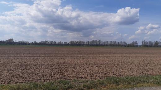 Grundstück kaufen Brück gross 0cypmdyeqxxr
