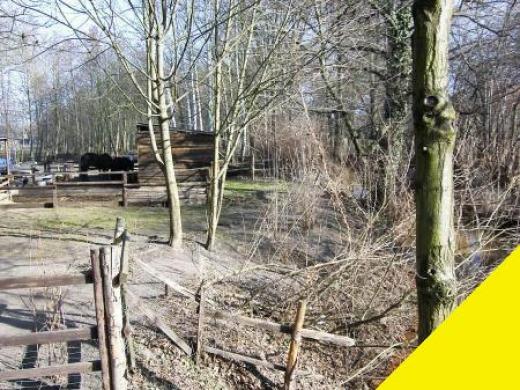 Grundstück kaufen Calau gross ynfajkthnujs