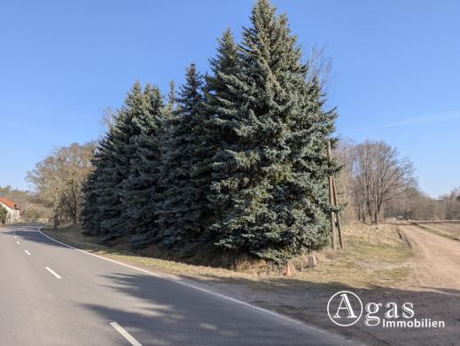 Grundstück kaufen Coswig gross rtwi1th06usj