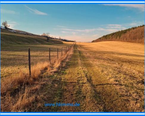 Grundstück kaufen Darlingerode gross 1bcbrvs5cone