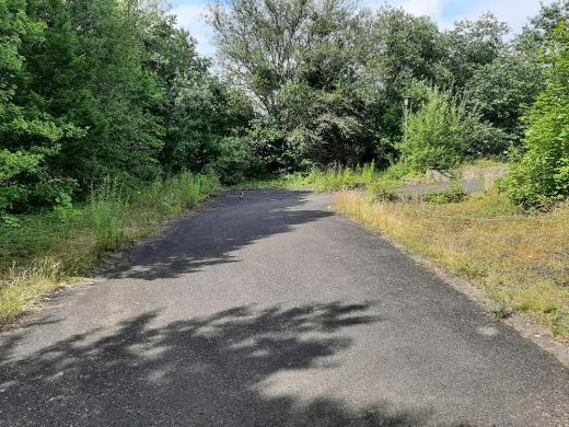 Grundstück kaufen Eschwege gross c267tvpqexkv