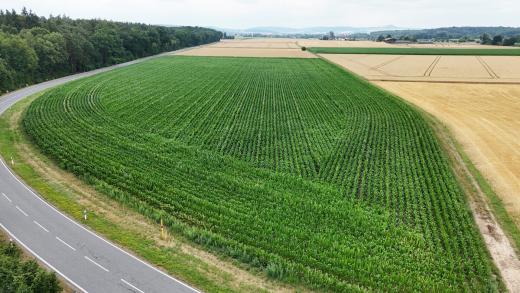Grundstück kaufen Groß-Umstadt gross x9vjnjrr8y1e