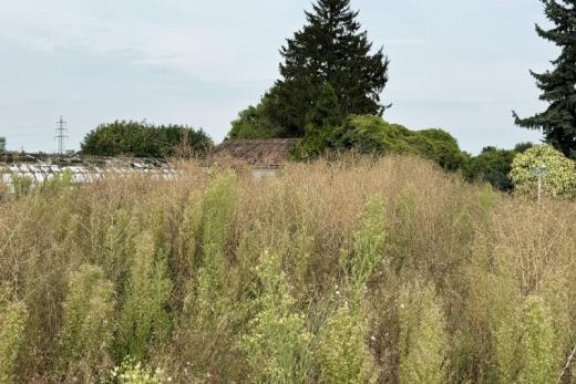 Grundstück kaufen Hürth gross pdaum47hg89n