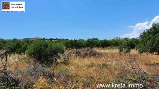 Grundstück kaufen Kamilari gross ws0ukev85zsv