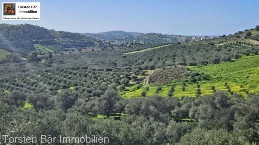 Grundstück kaufen Kouses gross fcs61eml2dpg