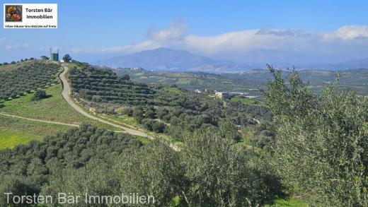 Grundstück kaufen Kouses gross yuopsrx59x4h