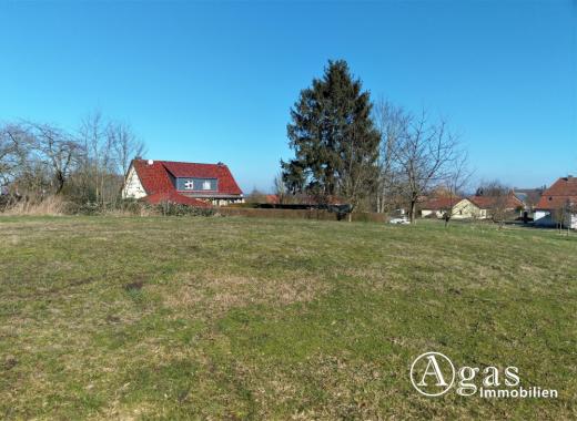 Grundstück kaufen Lelkendorf gross ltn9ay2zx1pv