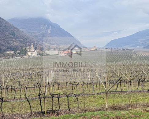 Grundstück kaufen Moringen gross 6k4djd9ptrlf