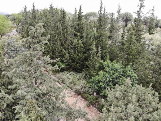 Grundstück kaufen Patima gross qtr0ef54xhl7