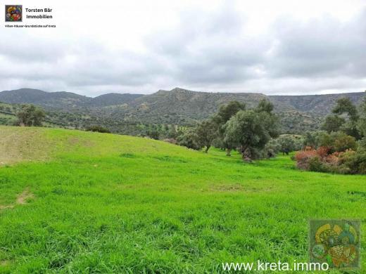 Grundstück kaufen Pitsidia gross f43rq6indm1h