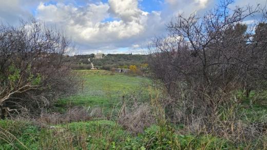 Grundstück kaufen Pitsidia gross vd10whhmw0vo