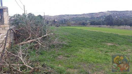 Grundstück kaufen Pitsidia gross vk9zx9dulu83