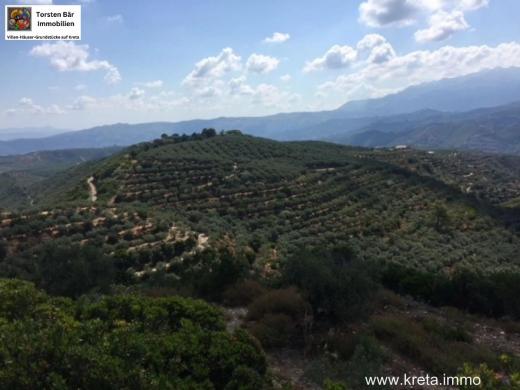 Grundstück kaufen Platanias gross mvtk2pt8xdy4