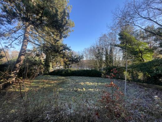 Grundstück kaufen Potsdam gross 9tqu9iz4nphm