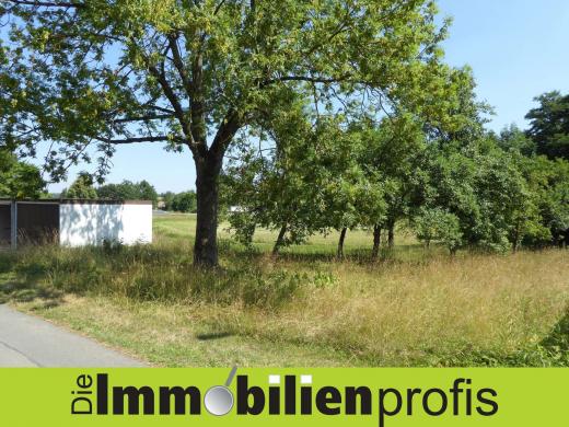 Grundstück kaufen Regnitzlosau gross bak89gmxr4sv