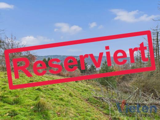 Grundstück kaufen Schleiden gross t6bhcwamcnio