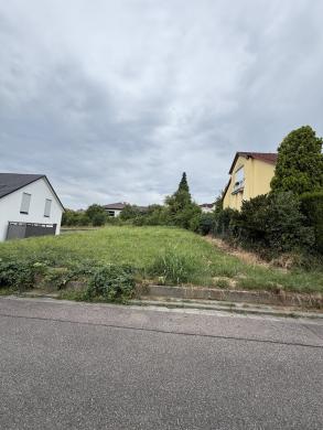 Grundstück kaufen Schweigen-Rechtenbach gross 87jwzvxzlq0i