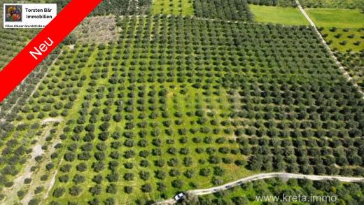 Grundstück kaufen Sivas gross ucijuhe13zxr