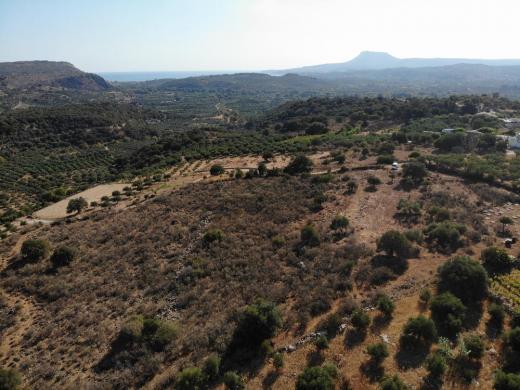 Grundstück kaufen Stilos gross 7gtgz0fr6hw8